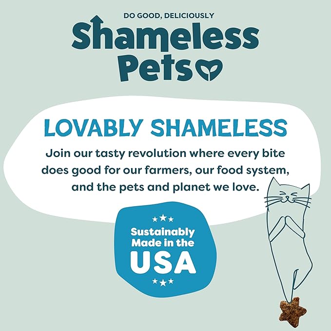 Shameless Pets Crunchy Cat Treats - Catnip Treats for Cats with Digestive Support, Kitten Treats with Real Ingredients, Natural & Healthy Flavored Feline Snacks - Fintastic Catnip, 1-Pk