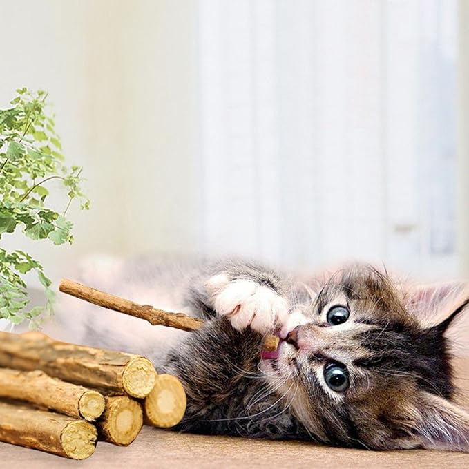 20 PCS Cat Catnip Sticks Natural Matatabi Silvervine Sticks - Cleaning Teeth Molar Tools Kitten Chew Toy Natural Catnip Cats Toy