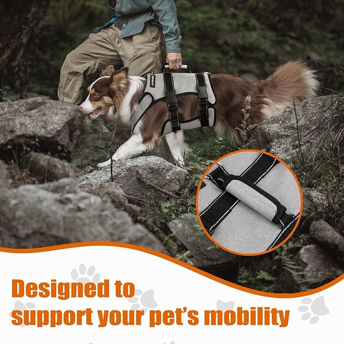 Ayquez Dog Lift Harness with Storage and Transport Bag, Dog Harness with Handle for Lifting & Hip dysplasia, arnés para Perros pequeños, pechera para Perros (Gray, XL)