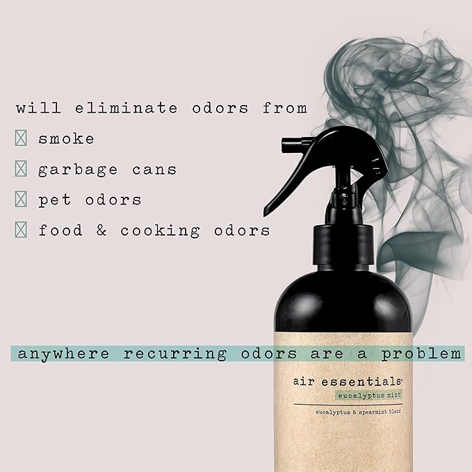 Air Essentials Air Freshener & Odor Eliminator Spray - 12 oz, Pack of 2 - Made with Pure Essential Oils - Eucalyptus Mint Scent