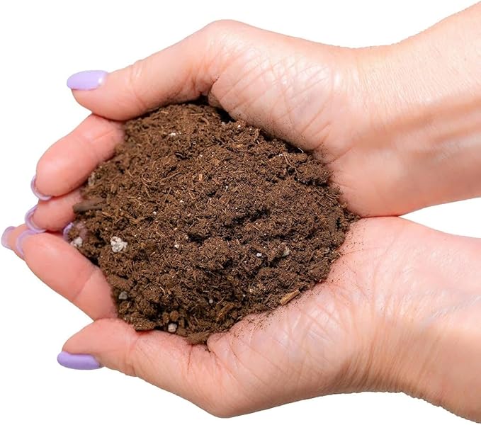 GARDENERA Premium Dracaena Potting Soil Mix - (20 Quart Bag)