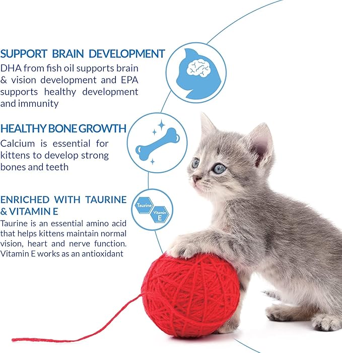 INABA Churu for Kittens, Grain-Free Creamy, Purée Lickable Cat Treats with DHA, EPA, Vitamin E & Taurine, 0.5 Ounces Each, 12 Tubes (4 per Pack), Tuna Recipe