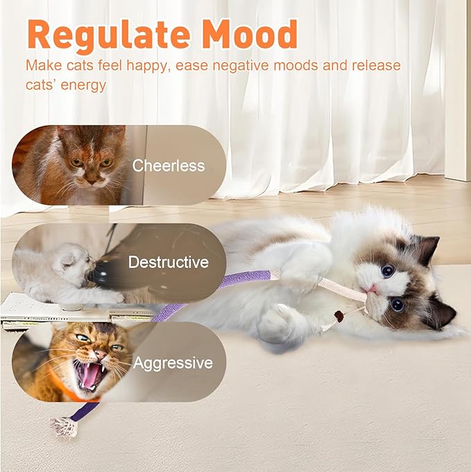 6 PCS Cat Toys Chew Ropes, 27.56 Inches Cat Chew Rope Toy for Teeth Cleaning, Safe Catnip Toys for Cats Rope Chew Toy (6 Bags of Catnip Included)