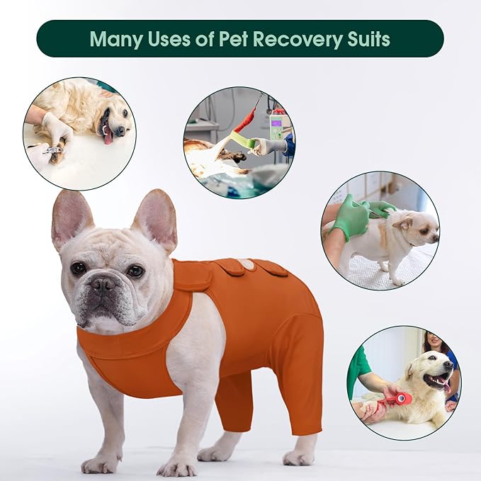 Kuoser Recovery Suit for Back Legs, Thigh Wound Protective Sleeve, Recovery Sleeve for Female Male Dogs, Onesie After Surgery, Pet Surgical Suit for Spay Neuter, Brown XXL