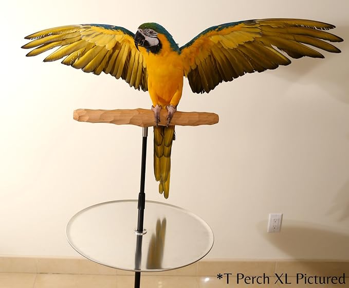 Parrot Training Perch Stand with Potty Tray (T Perch, XL)