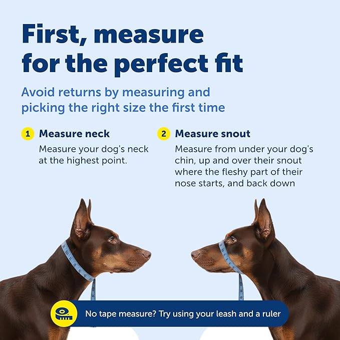 PetSafe Gentle Leader Headcollar No-Pull Dog Collar - Helps Improve Walks - Durable Nylon Construction - Padded Nose Loop - Adjustable Fit - Comfort Walking Halter - Large, Royal Blue