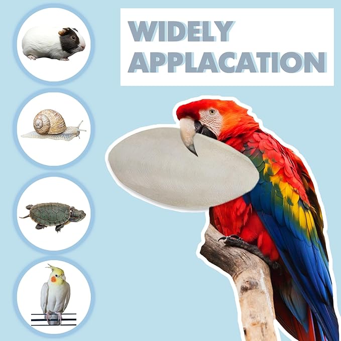 Jmxu's 3.5"-4" Cuttlebone for Birds Parakeets, Cuddle Bone with Metal Clip, Cuttlefish Bone for Sharp Beaks, Natural Birds Calcium for Parrots Cockatiels Tortoises, 4 Pcs