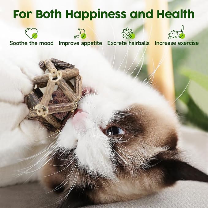 Potaroma Catnip Toys, 3Pcs Cat Toys Natural Silvervine Stick Cage Balls & Bell Ball for Indoor Cats, Kitten Cleaning Teeth Molar Matatabi Cat Chew Toy All Breeds
