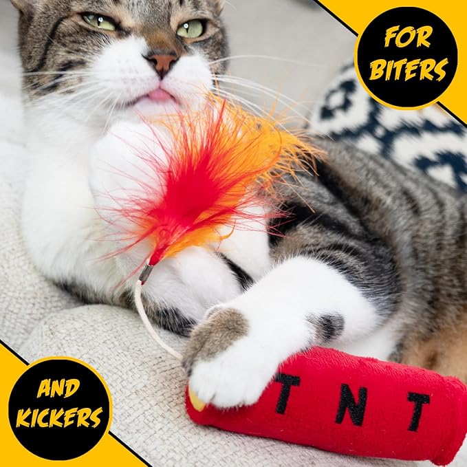 Cat Toys Grenade, Cat Toys for Indoor Cats, Kitten Toys, Catnip Toys for Cats of All Breeds, Action Themed Fun for Kicking, Biting, Chewing (Grenade & TNT, 2-Pack)