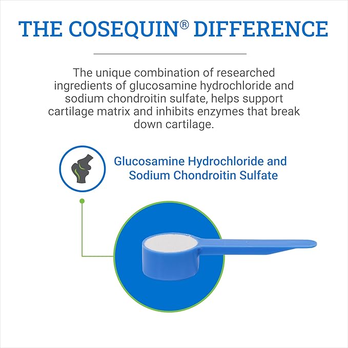 Nutramax Cosequin Original Joint Health Supplement for Horses - Powder with Glucosamine and Chondroitin, 700 Grams