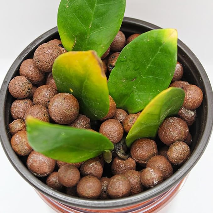 Halatool 2 LB Natural Expanded Clay Pebbles for Plants 4mm-16mm Clay Balls 100% Organic Hydroton Leca Balls for Indoor Plants Hydroponic Growing Gardening Orchids Drainage Decoration Aquaponics
