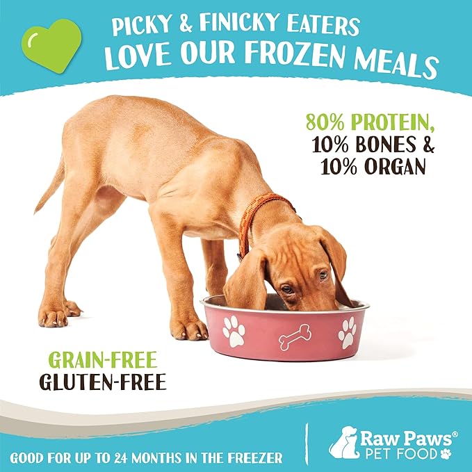 Raw Paws Signature Blend Pet Food for Dog & Cats - Chicken Recipe, 1-lb Rolls (10-Count) - Frozen Fresh Dog Food - Made in USA - Natural Raw Diet Dog Food Log