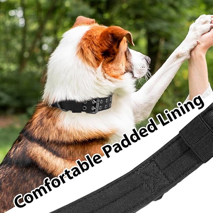 Tactical Dog Collar with Handle, Military Adjustable Heavy Duty Metal Buckle Dog Collars Soft Nylon Training Collar for Medium Large Dogs (Black, Medium)