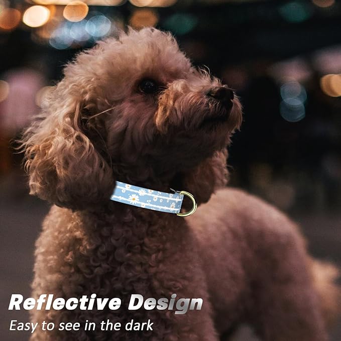 Reflective Dog Collar for Extra Small Dogs, Cute Daisy Theme Adjustable Heavy-Duty Nylon Puppy Collar for Boy and Girl Female, Soft Pet Accessories with Quick Release Buckle, Neck 8-12", Blue
