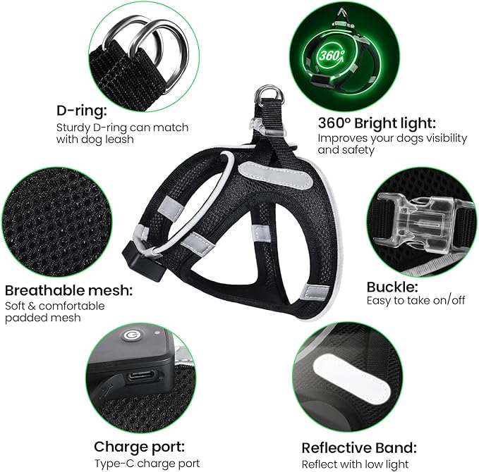 PceoTllar Light Up Dog Harness, LED No Pull Reflective Dog Harness, Flashing Lighted for Night Walking - Small/Medium, (Black Green,xs)