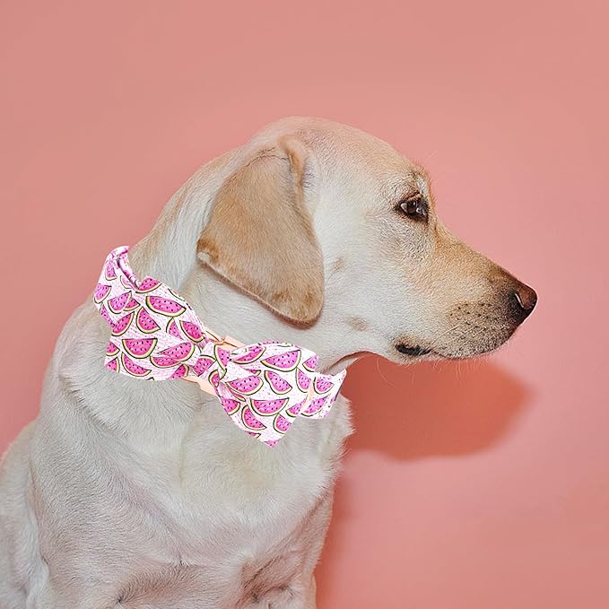 Elegant little tail Dog Collar, Watermelon Print Pet Collar Summer Dog Collar Durable Metal Buckle Dog Collars Cotton Pet Adjustable Dog Collars for X-Large Dogs
