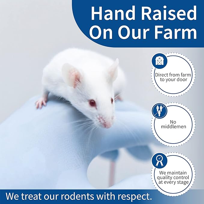 MiceDirect EST. 2003 150 Frozen Mice Small Fuzzie Feeders Snake Food for Juvenile Hognose Corn Milk (.5-1 in) (450 Grams Min)