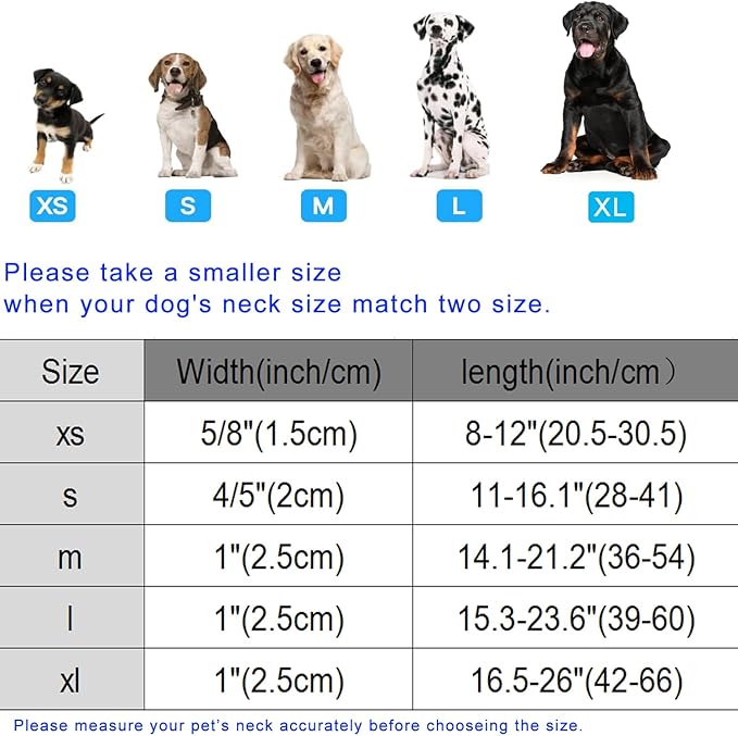 DOGWONG Blue Flower Dog Collar, Cute Adjustable Floral Collar, Girl Female Dog Collar with Strong Plastic Buckle for Small Medium Large Dogs,XS