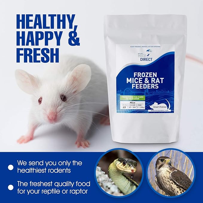 MiceDirect EST. 2003 30 Premium Frozen Rat Jumbo Feeders Snake Food for Juvenile Ball Pythons Monitors Lizards (9-11 in)(8250 Grams Min)