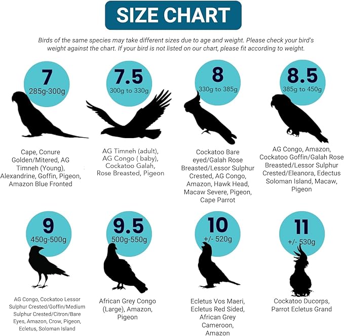 Bev's Bird Boutique Regular Flyper Adjustable Bird Diaper | Reusable, Washable Cloth | Comfort Fit for Parrot, Cockatiels, & Other Small Birds | Fashionable Avian Accessories, Regal, Size 9