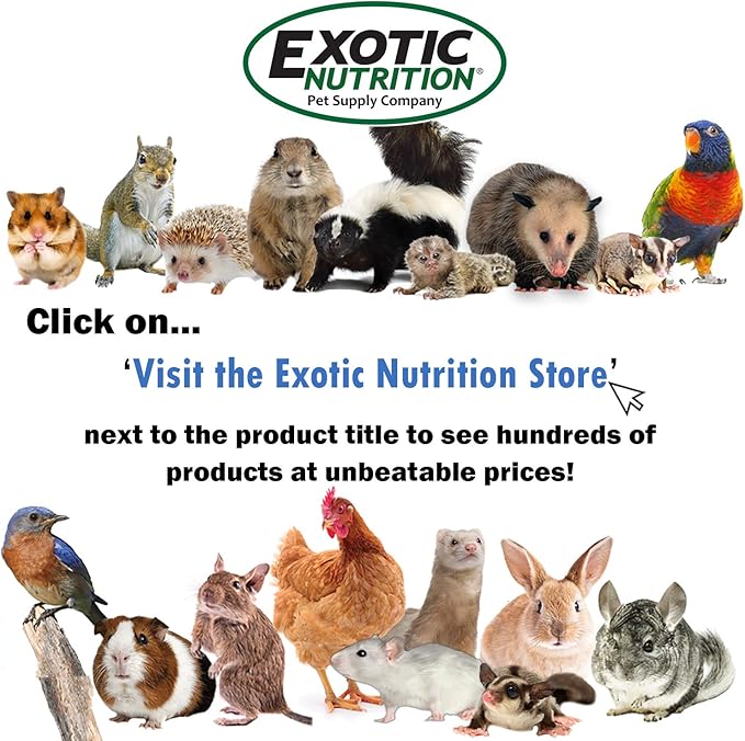 Exotic Nutrition Glider Complete 5 lb | Natural Fruit Bits | Sugar Glider Food