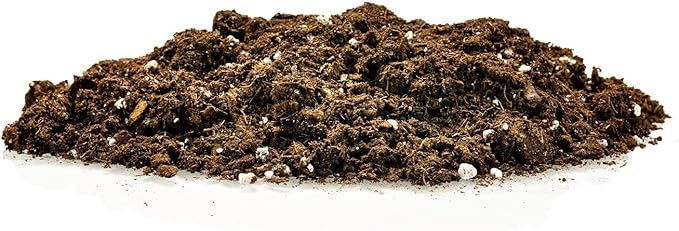 GARDENERA Money Tree Potting Soil Mix for Planting or Repotting Guiana Chestnut, Soil Blended to Properly Grow Money Tree Plants (3 Quart Bag)