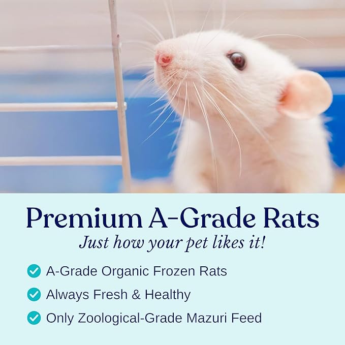 MiceDirect EST. 2003 75 Frozen Mice Pinkie Feeders Snake Food for Corn Ball Pythons Lizards (.5-1 in) (150 Grams Min)