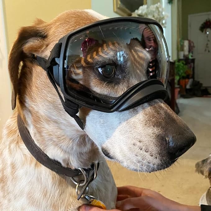 NAMSAN Clear Dog Goggles for Large Dogs, Wide Eyecup & Soft Frame, Anti-UV Sunglasses for Dogs Medium to Large Breed, Driving Dog Eye Protection, Windproof Dustproof, Adjustable, Black Frame