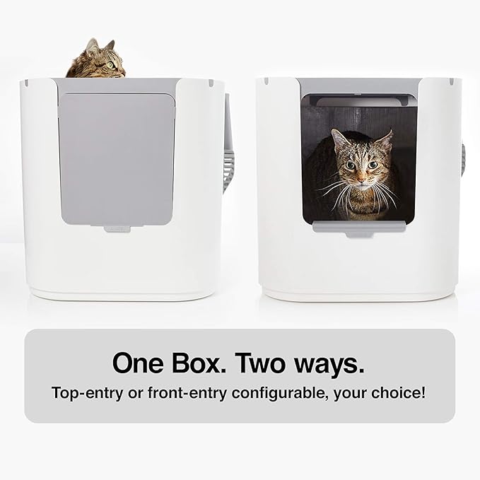 Modkat® XL Litter Box, Top or Front-Entry Configurable, Full Height Seamless Base, Reusable Litter Liners, Sifting Litter Scoop, 2X Bamboo Charcoal Filters - Gray