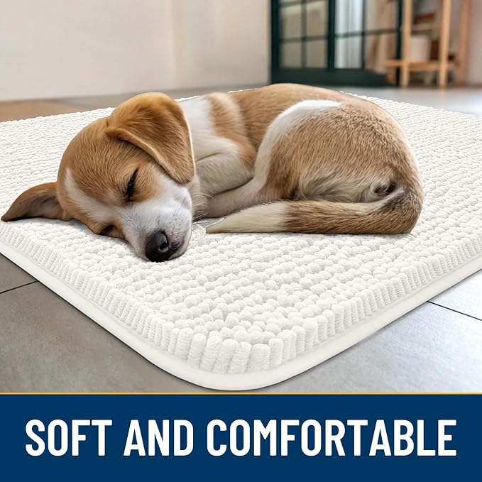 Smiry Dog Door Mat for Muddy Paws 24x16, Absorbs Moisture and Dirt Doormat, Non-Slip Washable Quick Dry Chenille Front Door Mat Indoor Entrance, Entryway Carpet for Inside Floor, Ivory