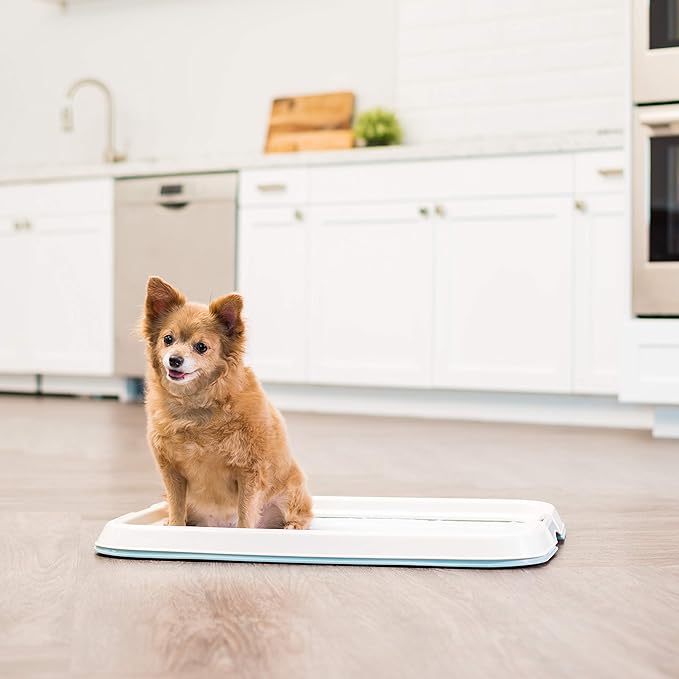 IRIS USA Pee Pad Holder - For Small Sized Dog and Puppy Pee Pads, Secured Latches, Non-Skid Feet, High Polish Finish for Easy Cleaning, Leak Protection, Fits 17"x23" Pad, Blue