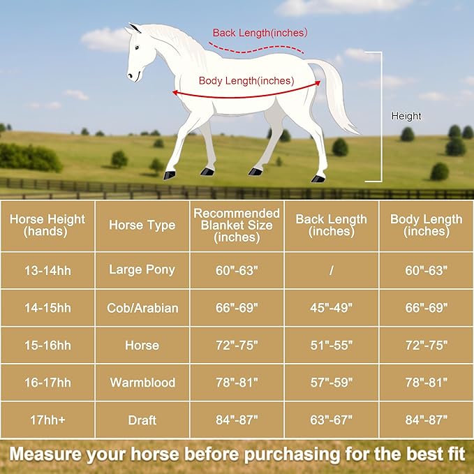 Horse Fleece Cooler, Blanket Liner - 300g Anti-Pilling Fleece, Moisture-Wicking, Cooling & Drying for Post-Workout, Bath & Travel, Prevent Overheating & Chilling Black 84