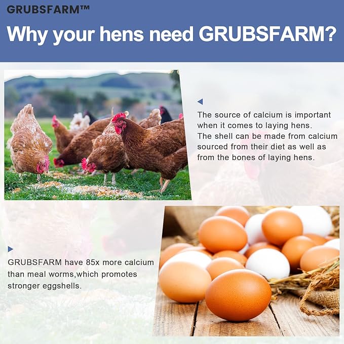 Premium Chicken Treats 10LB - Superior to Dried Mealworms - Non-GMO & 85X More Calcium Than Meal Worms - Molting & Laying Supplement - BSF Larvae Treats for Layer Hens, Ducks Wild Birds