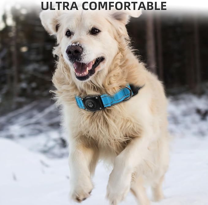 Airtag Dog Collar - 100% Waterproof Air tag Dog Collar Holder for Apple AirTag, Reflective, Soft Padded, Everlasting, GPS Dog Collar for Small Medium Large Dogs (Blue, S)