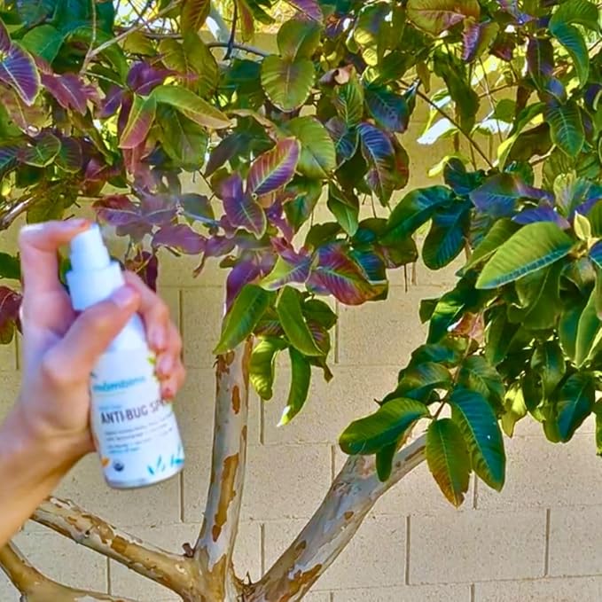 Anti-Bug Spray DEET-Free – Organic, All-Natural Bug Spray Travel Size with Essential Oils – Non-Toxic, Reef Safe, Face-Safe Bug Repellent for Babies, Kids, Adults by Mambino Organics, 2.7oz 3-Pack