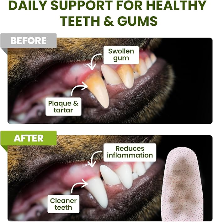 Dog Tooth Brushing Kit, Fresh Breath Pet Dental Finger Wipes for Dogs & Cats, Dog Dental Wipes Teeth Wipes, Lick-Safe Pet Toothbrus for Easy Removal of Tartar Buildup, Unscented, 100 PCS