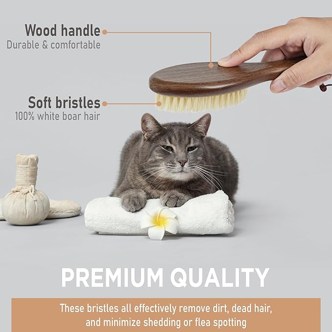 Takavu Natural White Boar Bristle Cat Brush - Gentle Grooming Tool for Sensitive Skin, Smoothing Fur & Healthy Shine - Soft Pet Brush