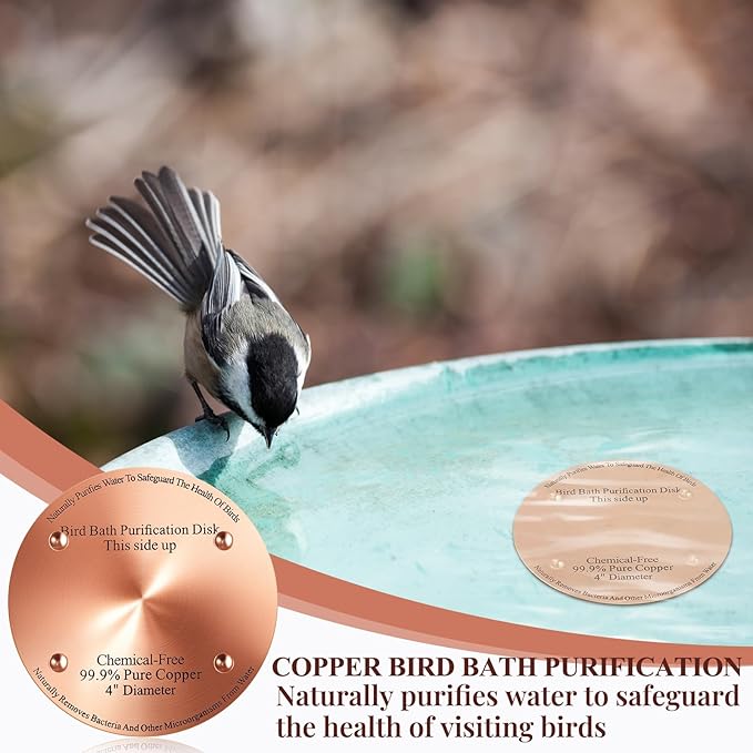 8 Pcs Bird Bath Copper Disk, 0.6mm Thick Reinforced 99.99% Pure Copper Birdbath Purification Disk, with 4 Point Support for Outdoor Birdbaths Bowls Cleaner, 4 Inch (Classic)