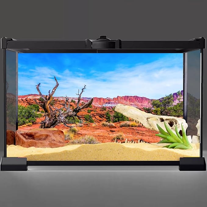 AWERT 36x20 inches Reptile Habitat Background Blue Sky Oasis Orange Desert Terrarium Background