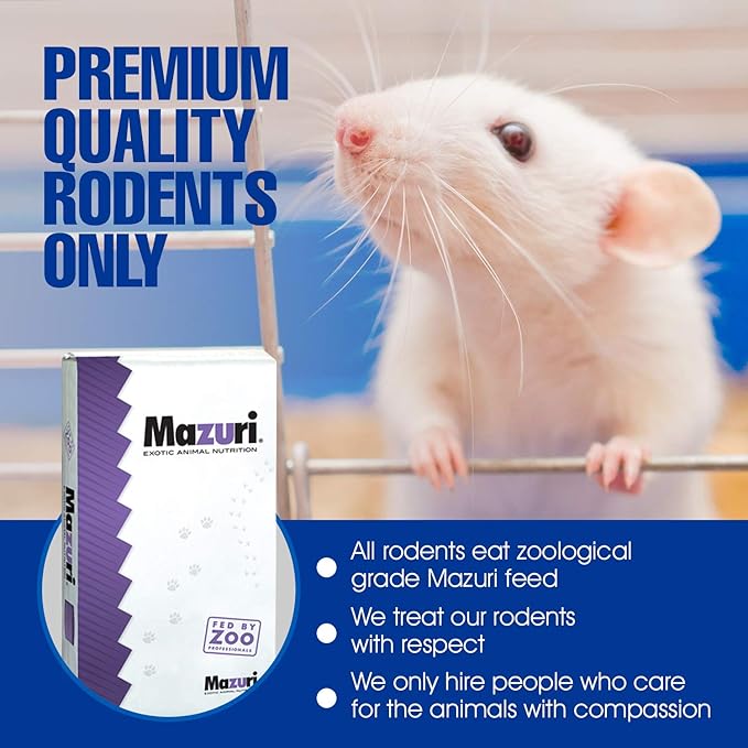 MiceDirect 20 Weanling Rats: Pack of Frozen Weanling Feeder Rats - Food for Corn Snakes, Ball Pythons, Lizards and Other Pet Reptiles - Freshest Snake Feed Supplies