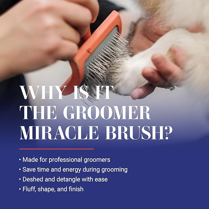 Chris Christensen Big G Dog Slicker Brush for Dogs (Goldendoodles, Labradoodles, Poodles), Groom Like a Professional, Fluff Detangle Style, Saves Time Energy, Coral, Large