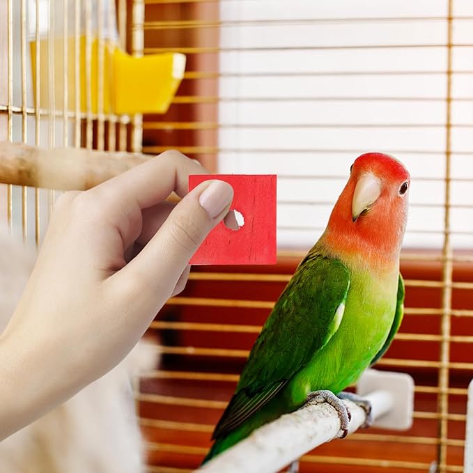 Parrot Toys 100 Pcs Wooden Blocks Bird Chewing Trim Beak Foot Craft Cage Part Mini Wood Chip Charms DIY Playing Chewing Shredding Mixed Large Bird Toys (Pack of 2)