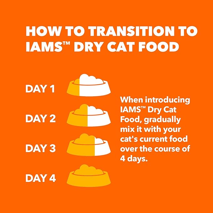 IAMS Proactive Health Healthy Kitten Dry Cat Food with Chicken, 3.5 lb. Bag