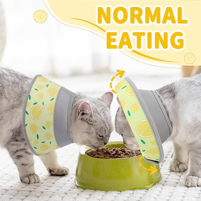 Cat Cone Collar Soft, Comfortable Cat Recovery Collar Pet Cone for Small Large Cats, Lightweight Elizabethan Collar for Cats Kittens After Surgery Prevent from Licking Wounds, Yellow, M