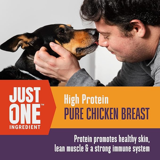 Whole Life Dog Just One Chicken Freeze Dried Dog Treats - Human Grade High Protein Food, Healthy Training Snacks, Freeze Dried Food Toppers, USA Made Natural Treats - 21 oz (Pack of 4)