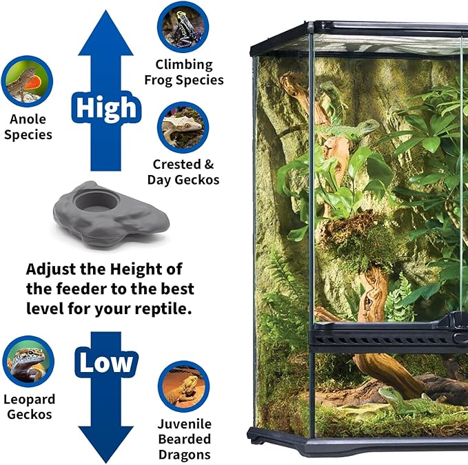 Pangea Silicone Gecko Feeding Ledge - Magnetic Mini Food Dish for Reptile Tank - 4.125" x 2.625" x 1.18" - Fits 0.5oz Cups (Gray)
