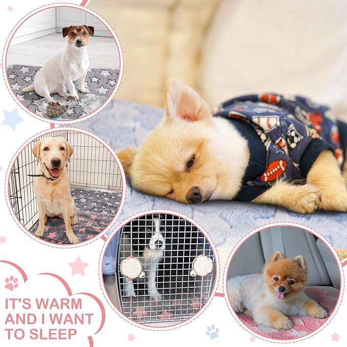 Reginary 4 Pcs Waterproof Guinea Pig Blankets Washable Small Animal Fleece Bedding Absorbent Guinea Pig Cage Liners Reusable Pet Pee Pad Sleep Mat for Hamster Ferret(Cute Star Pattern,24 x 47 Inch)