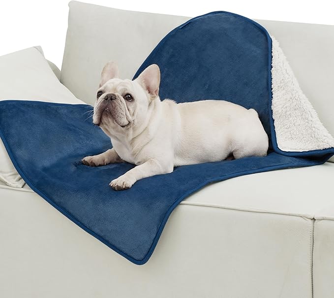 Bedsure Cat Blanket for Indoor Cats - Waterproof Calming Cat Blankets for Couch Protection, Sherpa Fleece Pet Blanket, Soft Plush Reversible Throw Furniture Protector, 40"x30", Blue