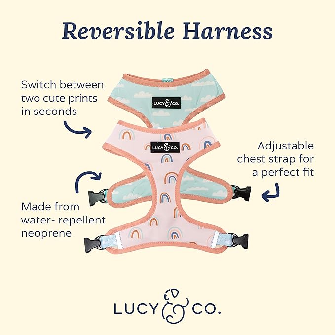 Lucy & Co. in The Clouds, Cute Reversible Dog Harness Walking Halter - Best Designer Pet Harnesses for Medium Dogs - Padded Adjustable Vest for Easy Walking (Small)