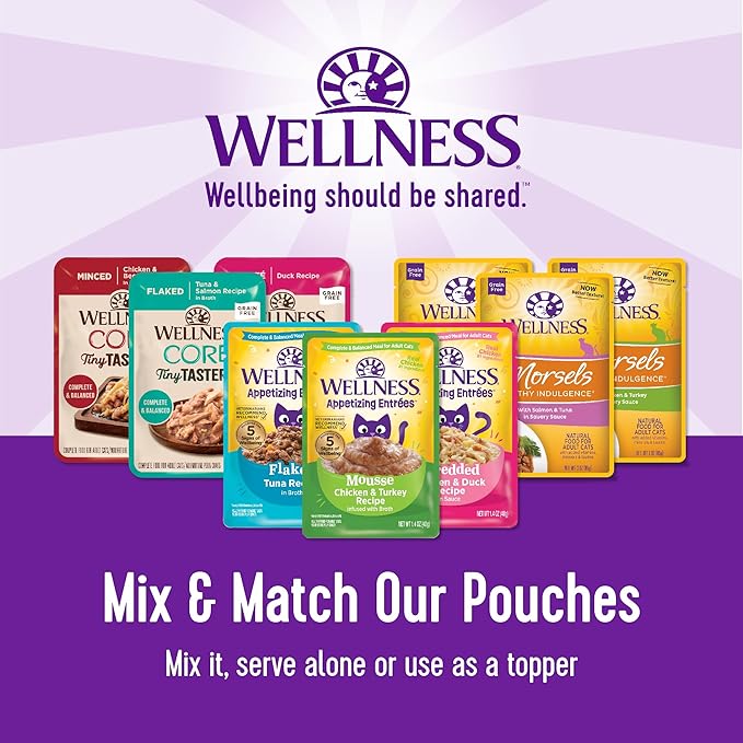 Wellness CORE Tiny Tasters Pate Adult Wet Cat Food, Natural, Protein-Rich, Grain Free, 1.75 Ounce Pouch, 12 Pack (Chicken)